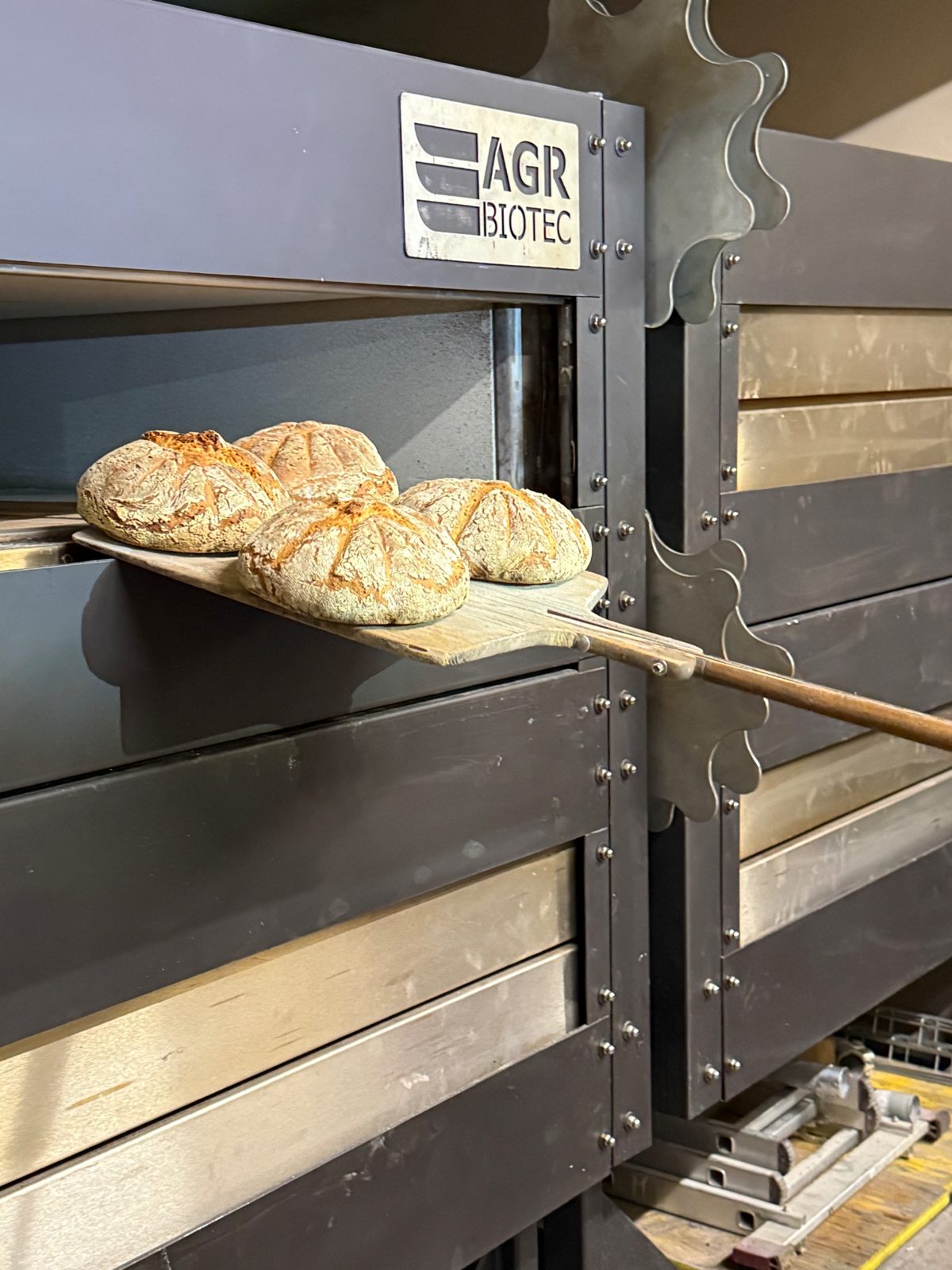 Brote auf dem Brotschieber vor einem AGR Holzbackofen